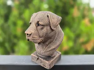 ALABAI BUST Central Asian Shepherd Dog