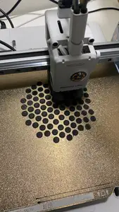 Two sizes of board game coins