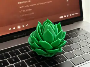 许我耀眼同款 龙舌兰 INTJ的天命植物