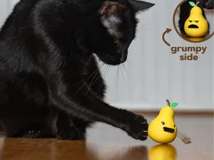 Cat Treat Toy - Rocking Pear