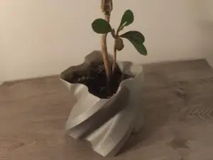 Flowerpot spiral rectangle