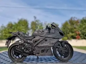 R25 Model