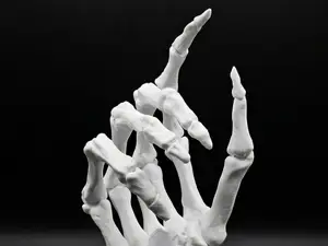 Skeleton Hand