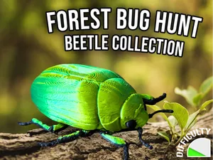 Real bug hunt - Jewel Scarab Beetle