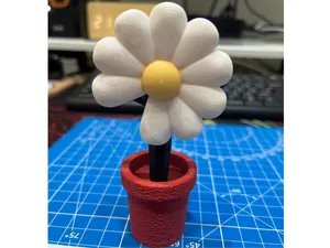 雛菊盆栽