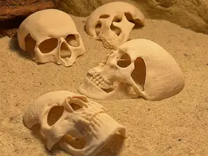 Human skull Spooky reptile hide Enrichment Decor