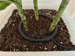 Drip Irrigation Watering Ring 160mm for Plants
