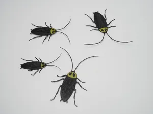 Realistic Cockroach Prank  Funny Fake Bug 