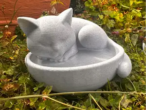 Schlafende Katze in Schale