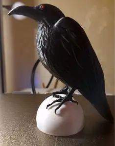 Raven