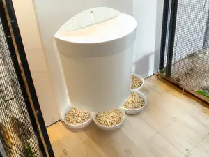 Chicken feeder Wall model