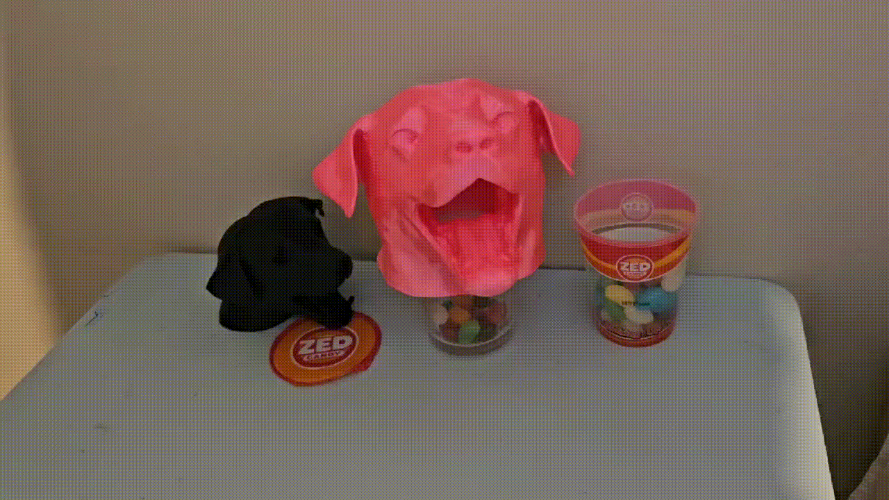 GOOD BOY GOBBLEHEAD