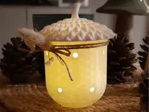 acorn light