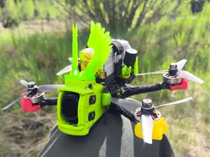 Hussars wings for it's FPV ERA Mini