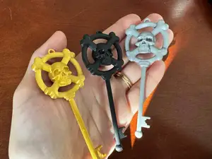 Skeleton Key with Skull Crossbones Dungeon Pirate