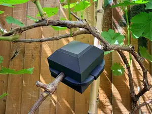 Plant Root Growing Box (no support, quick print)