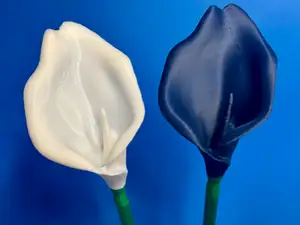 Flower Calla