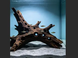 鱼缸造景 微景观造景 枯木树洞 幼鱼/爬宠躲避屋