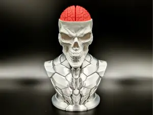Craniumortis - No AMS