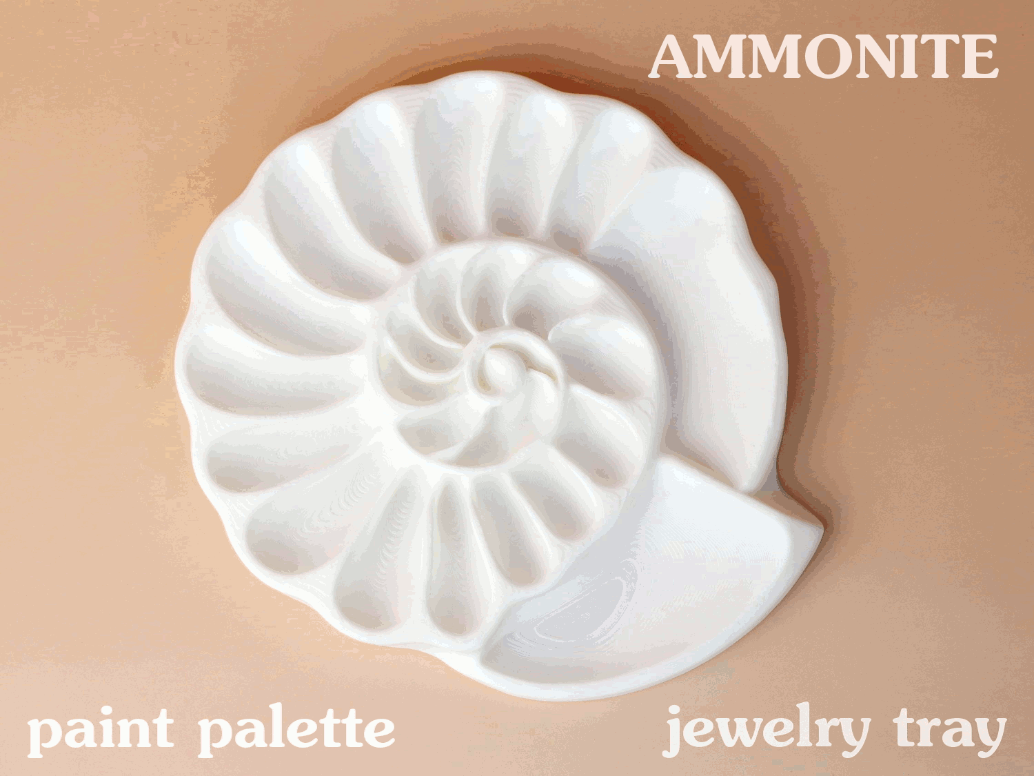 Ammonite Paint Palette / Jewelry Tray