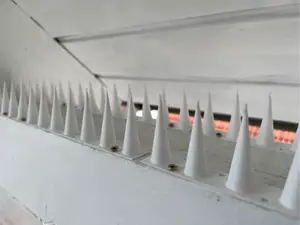 Bird defense