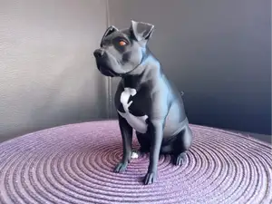 pitbull dog realistic figure