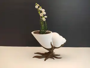 Shell-shaped pot on a bonsai tree