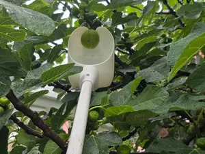 Smart fruit picking tool