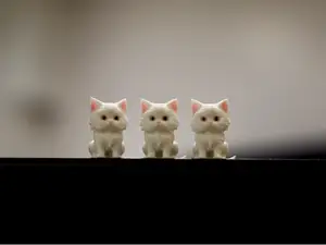 Cute Tiny Kittens