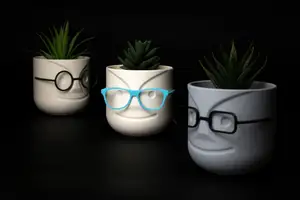 Mr. Vase
