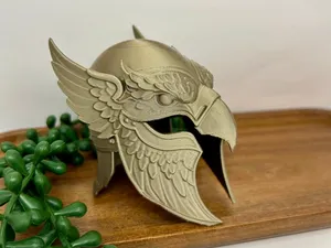 helmet
