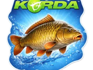 ll