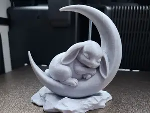 Sleeping Bunny on the Moon