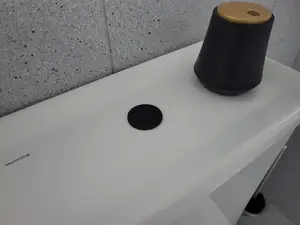 Toilet button