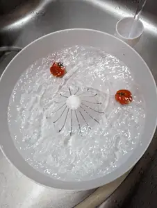 Automatic vegetable and fruit washer- no supports and no assembly required (LARGE version)