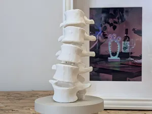 A real creepy lumbar spine