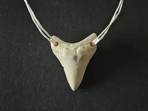 Dinosaur Megalodon shark tooth necklace