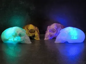 Crystal Skull - Indiana Jones
