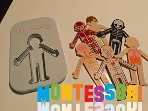 Montessori Layered Human Body Puzzle