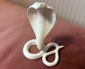 Cobra snake