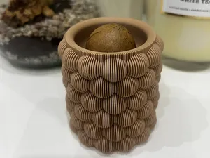 Vaso bolle per semi di avocado