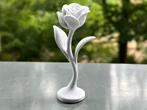 Aesthetic Minimalist Flower