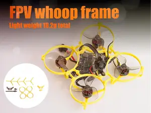 FPV whoop light weight