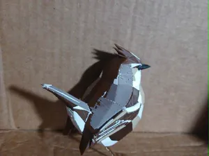 bird tufted titmouse