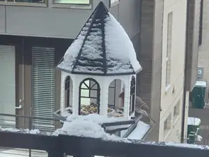 Premium Bird Feeder Railing Mount