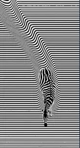 Zebra Illusion Art / Wall Art / HueForge / 2d art