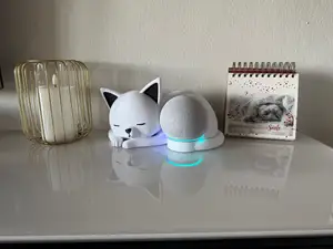 Süße schlafende Katze mit Echo Dot-Integration