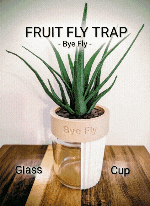 Fruchtfliegenfalle - Bye Fly - Now with Cups