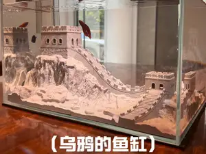Crow’s Aquarium — Chapter VII