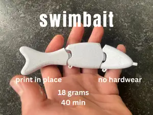 swimbait multi jointed (no hardware)